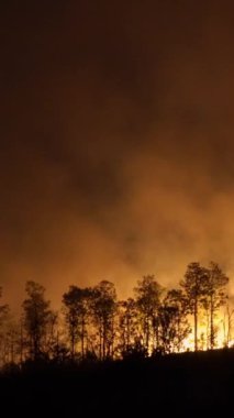 Dikey video. Tropikal ormanlardaki orman yangınları, iklim değişikliğine katkıda bulunan karbondioksit (CO2) emisyonları ve diğer sera gazları (GHG) salgılar..