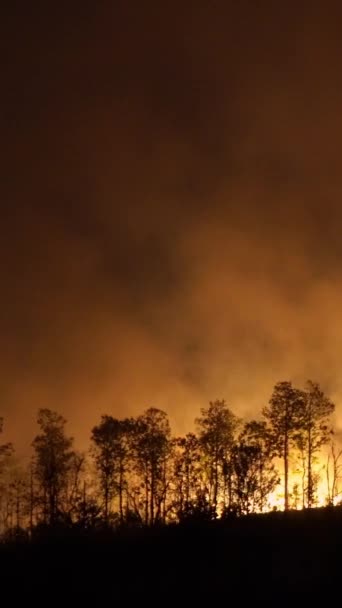 バーティカルビデオ 熱帯林の野火は 気候変動に貢献する二酸化炭素 Co2 の排出および他の温室効果ガス Ghg を放出する — ストック動画