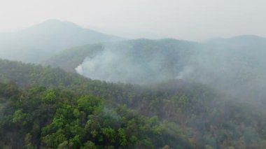 Tropikal orman vadisinde avlanmaktan kaynaklanan çalı yangını.