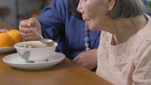 Caregiver Feeding Elderly Woman Soup Dining Room — Stock Video