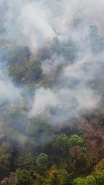 Skogsbränder Tropisk Skog Släpper Koldioxid Co2 Och Andra Växthusgaser Ghg — Stockvideo