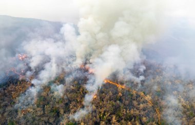 Tropikal ormanlardaki orman yangınları, iklim değişikliğine katkıda bulunan karbondioksit (CO2) emisyonları ve diğer sera gazları (GHG) salgılar..