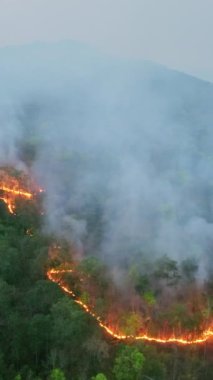 Tropikal ormanlardaki orman yangınları, iklim değişikliğine katkıda bulunan karbondioksit (CO2) emisyonları ve diğer sera gazları (GHG) salgılar..