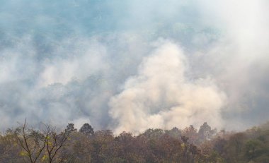 Vahşi yangınlar, iklim değişikliğine katkıda bulunan karbondioksit (CO2) emisyonları ve diğer sera gazlarını (GHG) serbest bırakır..