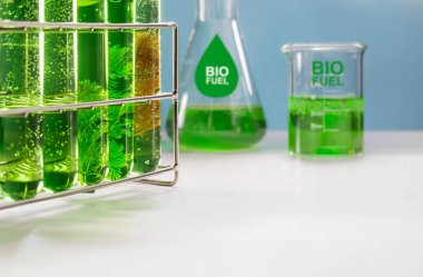 Yosun yakıtı biyoyakıt laboratuarı fosil alg yakıtı ya da alg biyoyakıtına alternatif araştırmalar yapıyor. Sıfır CARBON Emisyon kavramı.