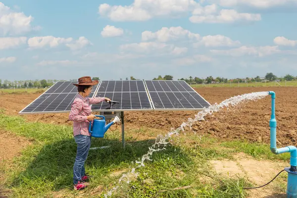 stock image Solar-Powered Irrigation. Female Farmer Maintaining Solar Panels in Vegetable Garden.