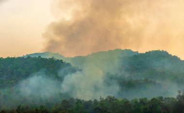 Vahşi yangınlar, iklim değişikliğine katkıda bulunan karbondioksit (CO2) emisyonları ve diğer sera gazlarını (GHG) serbest bırakır..