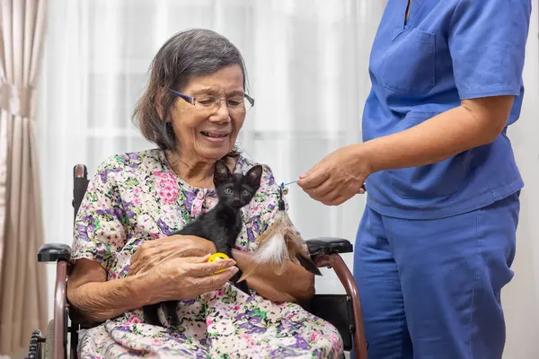 stock image Elderly asian woman holding baby black cat in livingroom.