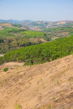 Orman kaybının en büyük nedeni tarımsal tahribat, Güneydoğu Asya 'daki çevresel hasar, küresel ısınma ve çevre.