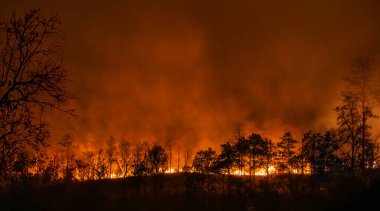 Vahşi yangınlar, iklim değişikliğine katkıda bulunan karbondioksit (CO2) emisyonları ve diğer sera gazlarını (GHG) serbest bırakır..