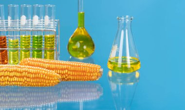 Biofuel with Plants industry lab researching for bio-aviation fuel (BAF) to be a sustainable aviation fuel (SAF) clipart