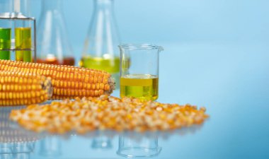 Biyoyakıt, sürdürülebilir bir havacılık yakıtı (SAF) olması için bitkiler endüstrisi laboratuvarında biyoyakıt araştırması yapmaktadır.)