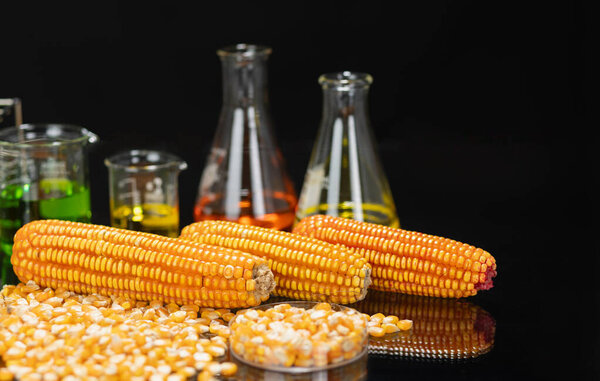 Biofuel with Plants industry lab researching for bio-aviation fuel (BAF) to be a sustainable aviation fuel (SAF)