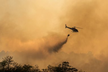 İtfaiye helikopteri orman yangınını söndürmek için su kovası taşıyor..