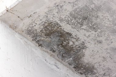 Düz çatı sızdırıyor. Tavan lekesi, tavandaki su hasarı..