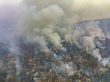 Vahşi yangınlar, iklim değişikliğine katkıda bulunan karbondioksit (CO2) emisyonları ve diğer sera gazlarını (GHG) serbest bırakır..