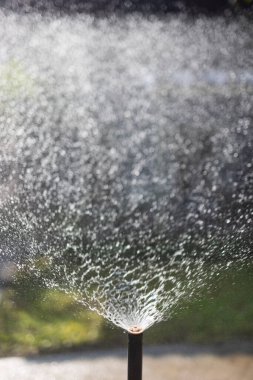Arka bahçede su püskürten sabitlenmiş sprey..