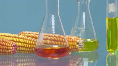 Biyoyakıt, sürdürülebilir bir havacılık yakıtı (SAF) olması için bitkiler endüstrisi laboratuvarında biyoyakıt araştırması yapmaktadır.)