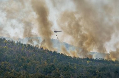 İtfaiye helikopteri orman yangınını söndürmek için su kovası taşıyor..