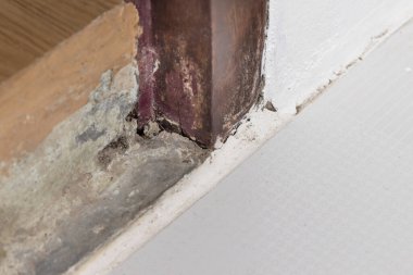 Kapı çerçevesinin tabanı çürümüş ve yeraltı böcekleri odadan geçiyor.