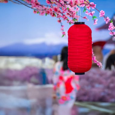 Kiraz çiçeği festivalinde süslenmiş Japon fenerleri..