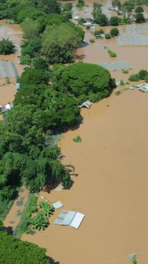 Sel Chiang Mai Tayland 'da gülleri ve diğer çiçekleri yok eder..