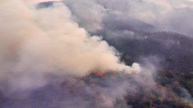 Vahşi yangınlar, iklim değişikliğine katkıda bulunan karbondioksit (CO2) emisyonları ve diğer sera gazlarını (GHG) serbest bırakır..