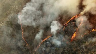 Vahşi yangınlar, iklim değişikliğine katkıda bulunan karbondioksit (CO2) emisyonları ve diğer sera gazlarını (GHG) serbest bırakır..