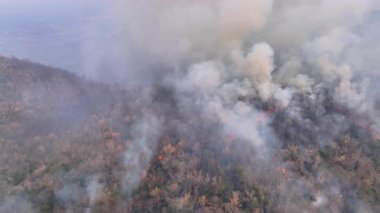 Vahşi yangınlar, iklim değişikliğine katkıda bulunan karbondioksit (CO2) emisyonları ve diğer sera gazlarını (GHG) serbest bırakır..