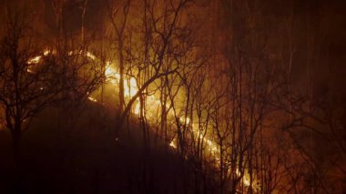Vahşi yangınlar, iklim değişikliğine katkıda bulunan karbondioksit (CO2) emisyonları ve diğer sera gazlarını (GHG) serbest bırakır..
