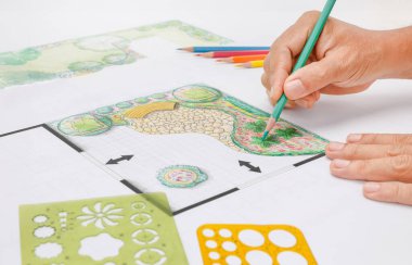 Peyzaj mimarı öğrenci tasarım bahçesi planı öğreniyor.