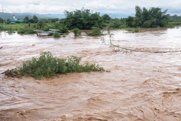Güneydoğu Asya 'da Deadwood ve Erosion Riverbank ile Şiddetli Sağanak Yağmurdan Sonra Çamurlu Nehir Taşıyor.