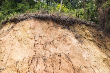 Şiddetli yağmurdan sonra dağdan sarp bölgelerde heyelan meydana gelir..