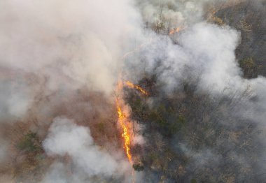 Vahşi yangınlar, iklim değişikliğine katkıda bulunan karbondioksit (CO2) emisyonları ve diğer sera gazlarını (GHG) serbest bırakır..