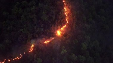 Vahşi yangınlar, iklim değişikliğine katkıda bulunan karbondioksit (CO2) emisyonları ve diğer sera gazlarını (GHG) serbest bırakır..