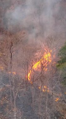 Vahşi yangınlar, iklim değişikliğine katkıda bulunan karbondioksit (CO2) emisyonları ve diğer sera gazlarını (GHG) serbest bırakır..