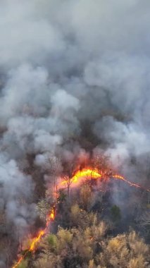 Vahşi yangınlar, iklim değişikliğine katkıda bulunan karbondioksit (CO2) emisyonları ve diğer sera gazlarını (GHG) serbest bırakır..