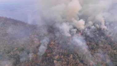 Vahşi yangınlar, iklim değişikliğine katkıda bulunan karbondioksit (CO2) emisyonları ve diğer sera gazlarını (GHG) serbest bırakır..