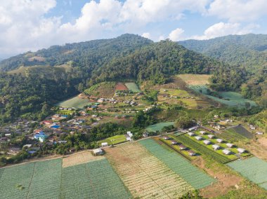 Orman kaybının en büyük nedeni tarımsal tahribat, Güneydoğu Asya 'daki çevresel hasar, küresel ısınma ve çevre.