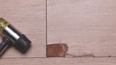 Kaplama zemini çizik ve darbeden dolayı çatlak ya da çip. Hasarlı bir kat konseptini onarıyorum..