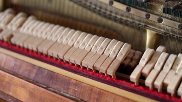Mozgó Részletek Nyitott Zongora Játék Közben — Stock videók