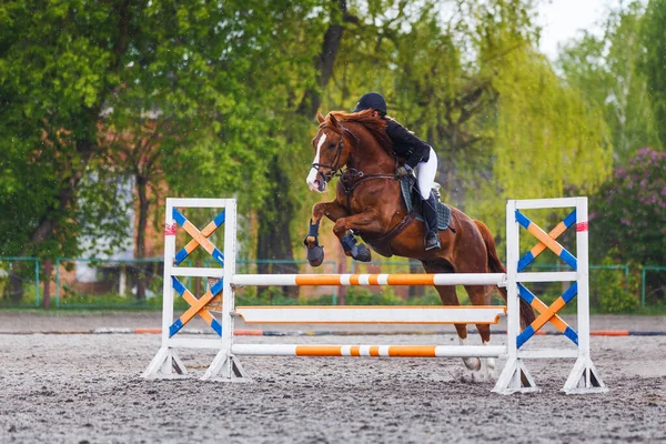 Młoda Kobieta Skacząca Konno Przez Przeszkodę Skoczni Sporcie Jeździeckim Obrazek Stockowy