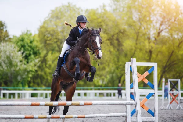 Young woman riding horseback jumping over the hurdle on showjumping course in equestrian sports event