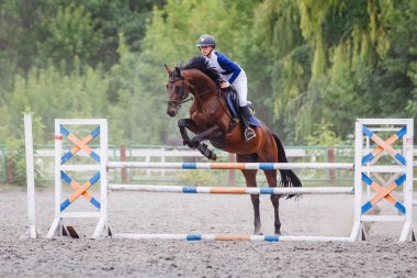 Young woman riding horseback jumping over the hurdle on showjumping course in equestrian sports event clipart