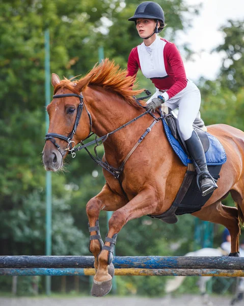乗馬競技イベントで障害物を飛び越える若い女性 ロイヤリティフリーのストック写真