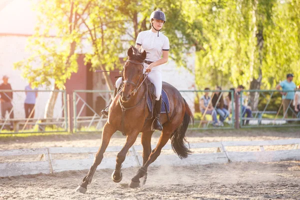 Young woman horseback riding on her show jumping course in equestrian competition.