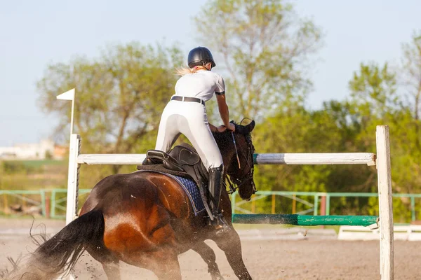 Ohörsamhet Hästen Hoppning Tävling Stockbild