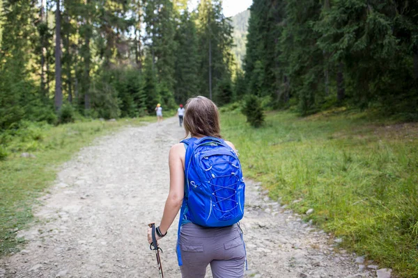 山の森をハイキングする小さなバックパックを持つ若い女性 ストック写真