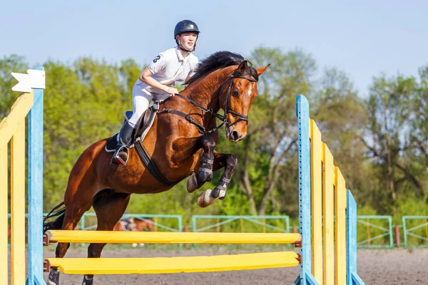 Jovem Cavaleiro Cavalo Mulher Saltando Sobre Obstáculo Showjumping Competição — Fotografia de Stock