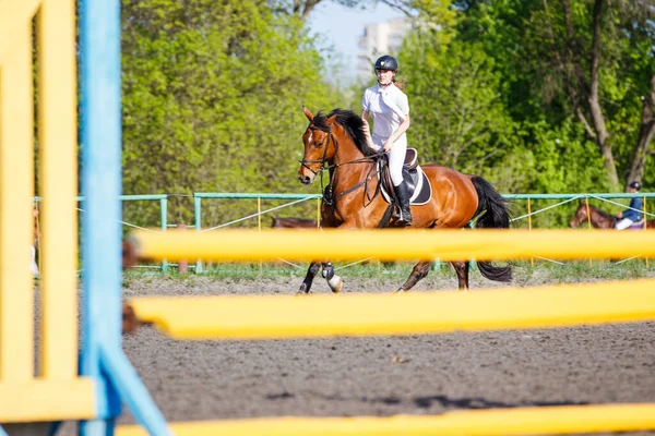 Young Horserider Woman Approaching Her Obstacle Showjumping Competition — Stock Photo, Image